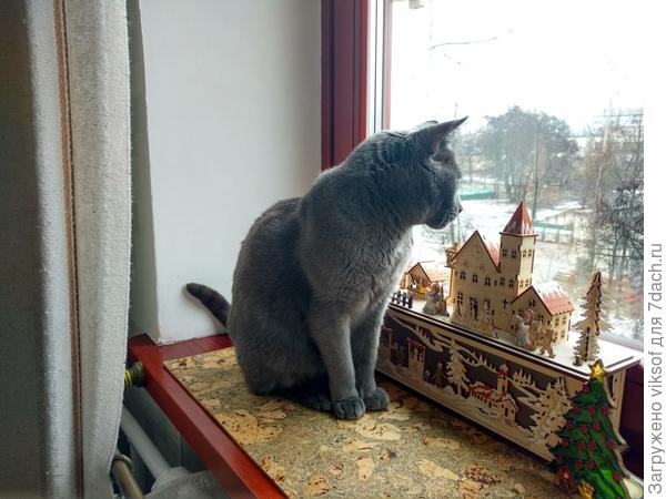 Витас уже на посту!