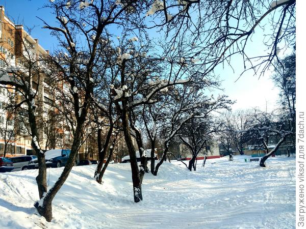 А ещё позавчера было так красиво!