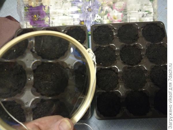 Ничего не видно, даже под увеличилкой