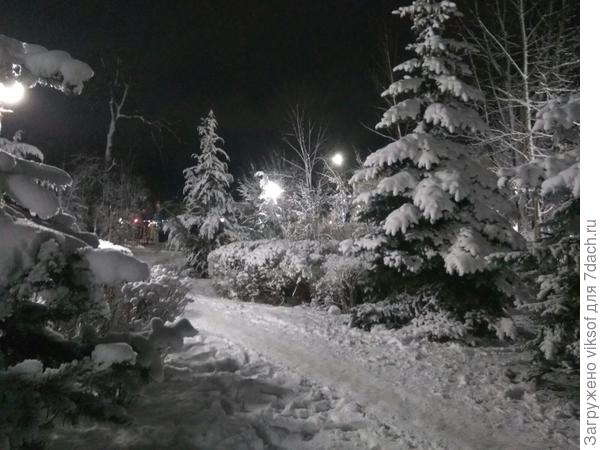 Красота! Давно такого не видели! Так что мы ещё гуляем...