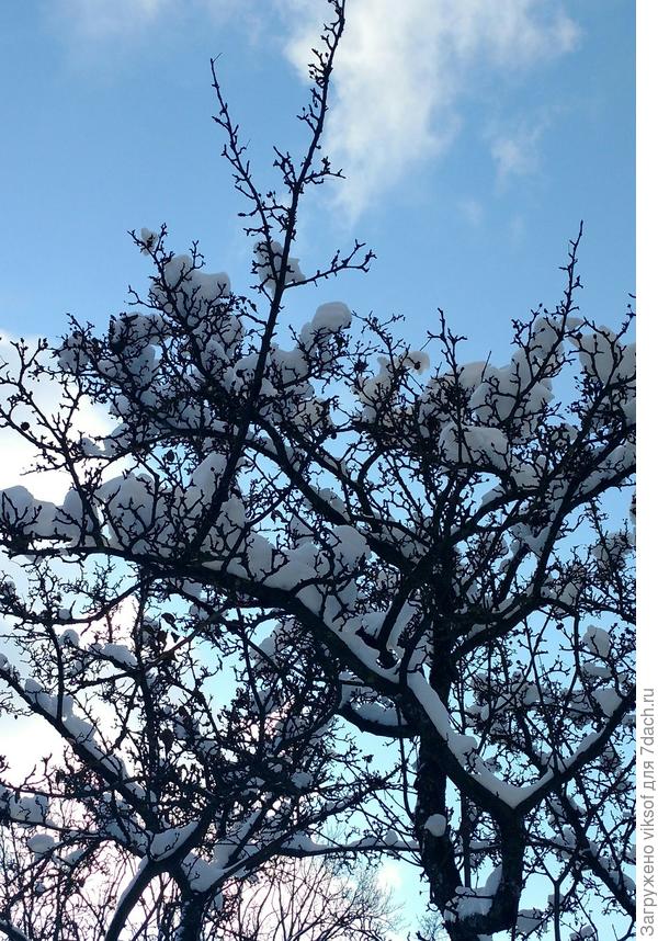 Красиво! Потому что ЗИМА!