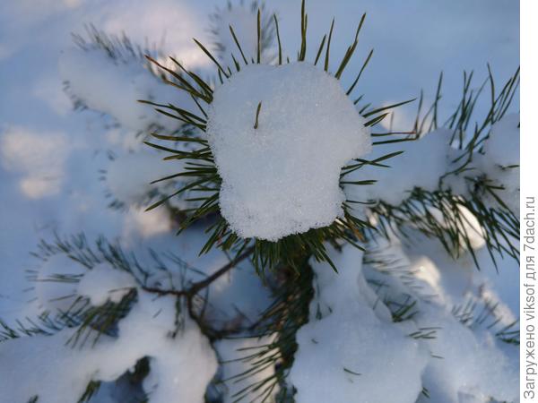 Правда же красиво? Очень! Потому что ЗИМА!