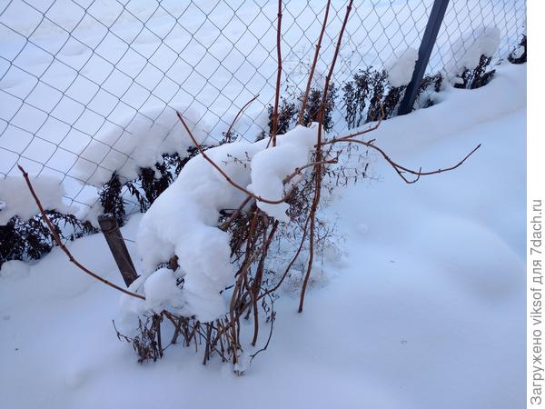 а здесь кто-то прилёг отдохнуть,