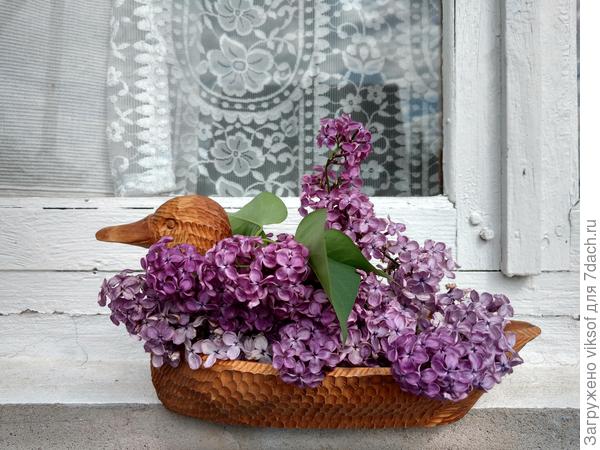 И ещё раз поздравляю с победой!