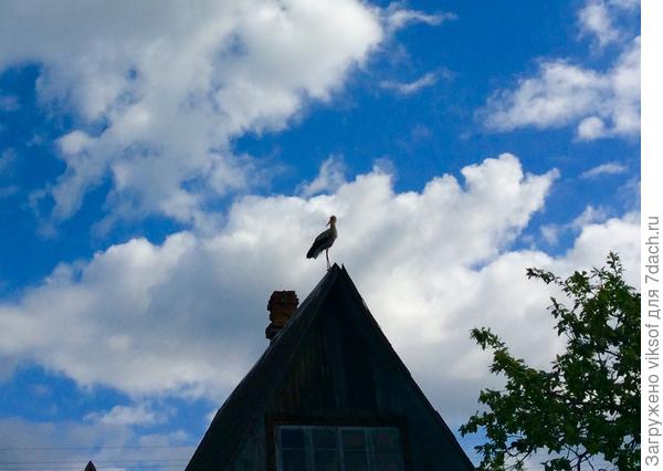 А Весна скоро!