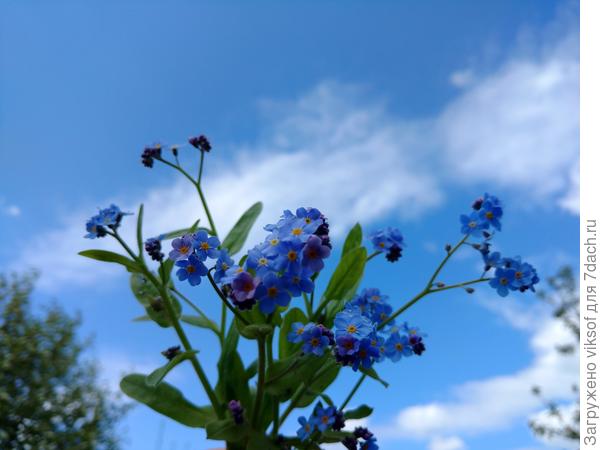 Всем участникам пробега с любовью и восхищением!