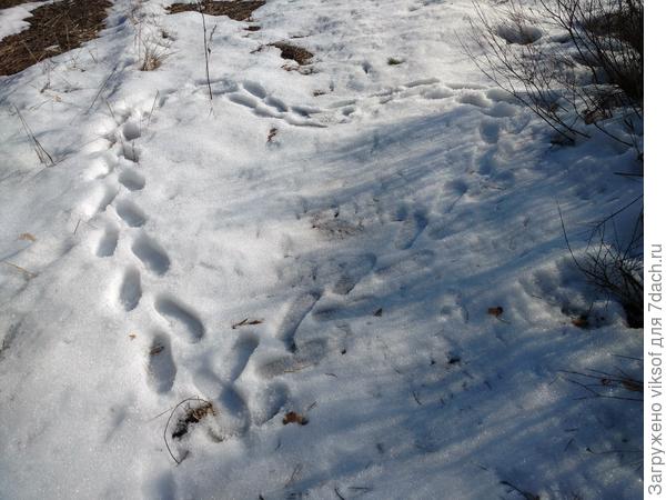 Потому что любимая Зима!