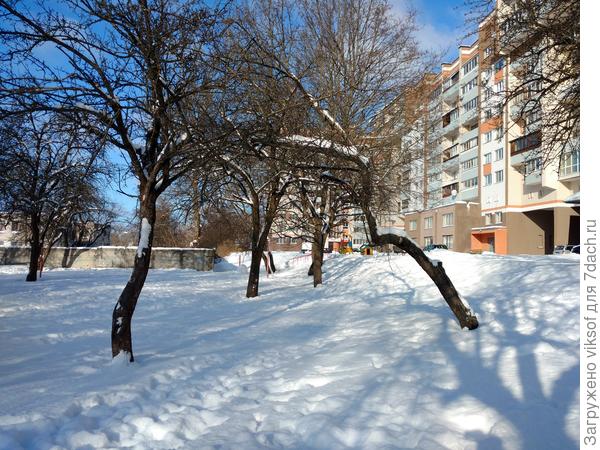 А у нас во дворе - Солнышко, но это было вчера, сегодня холодно!