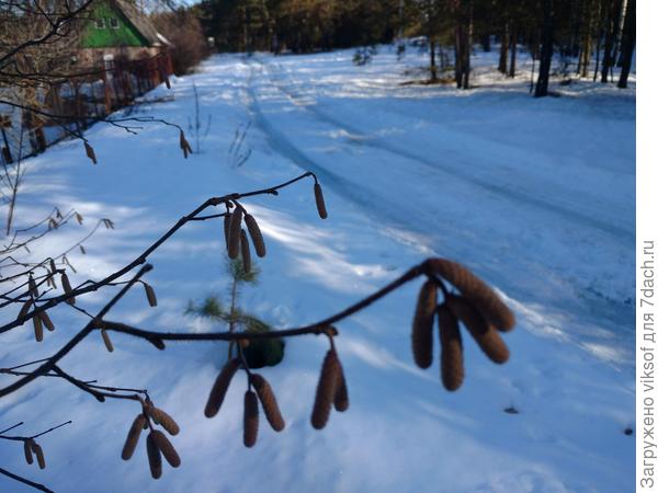 Но Весна скоооро придёт!