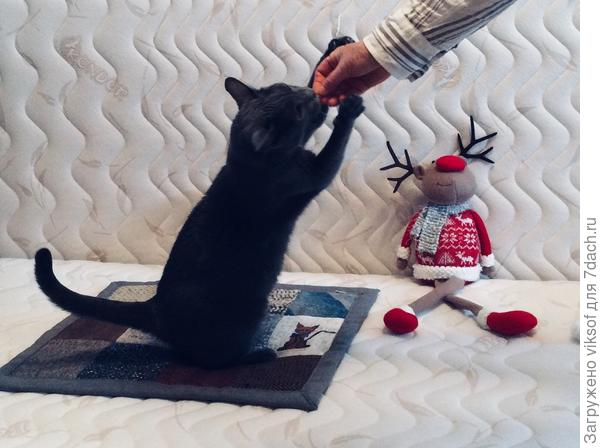 Любит витаминки