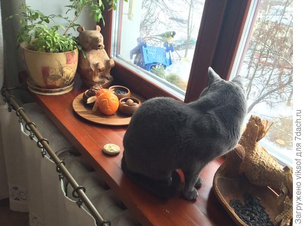 Защитные экраны мы не ставили, а в спальне батарею закрываю льняной шторкой