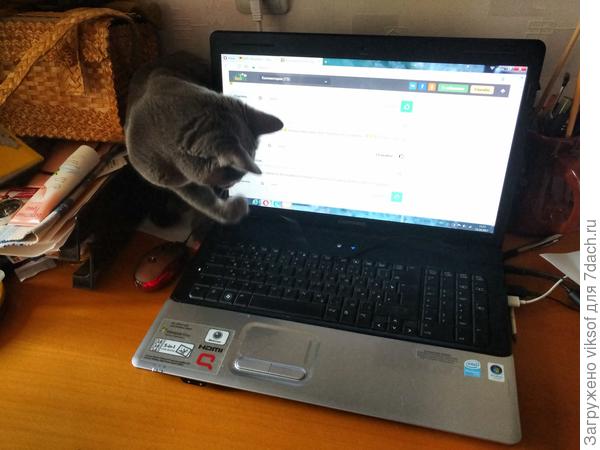 Конечно же, мы с Витасом напару))