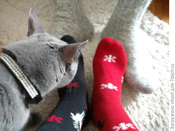 а вот придумать сотворить из них что-нибудь эдакое никогда и не думала, а ведь можно и подарочные носочки закрутить на любимый праздник славных мужчин прикольное, надо попробовать, а праздник будет, вот только чтобы такое придумать...