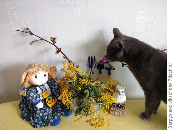 Витас уже готовится)) как будет вас поздравлять с приближающимся праздником!