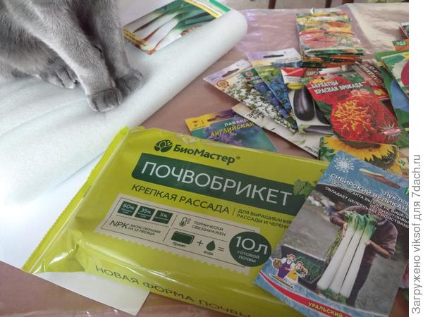 А в почвобрикетную земельку посею лобелии, но это, когда Луна будет расти, посмотри по лунному календарю.