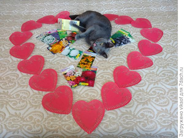 Какая посадка семян без любимого Витаса!