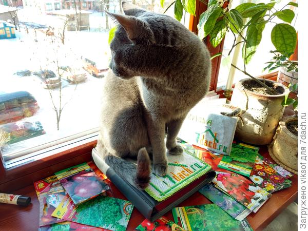 Раз уж хозяйка достала свои пакетики, значит пришла Весна!!!