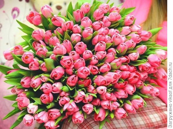 Не пропадай так надолго