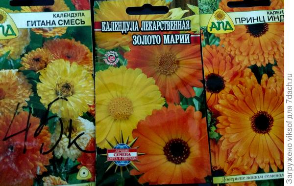 К нынешнему сезону подготовилась, не все семена нашла,  а тебе, Рушаночка, мои заветные 7+++++++ на удачу!