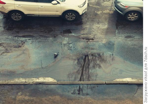 сегодня лужи и 1 с плюсом