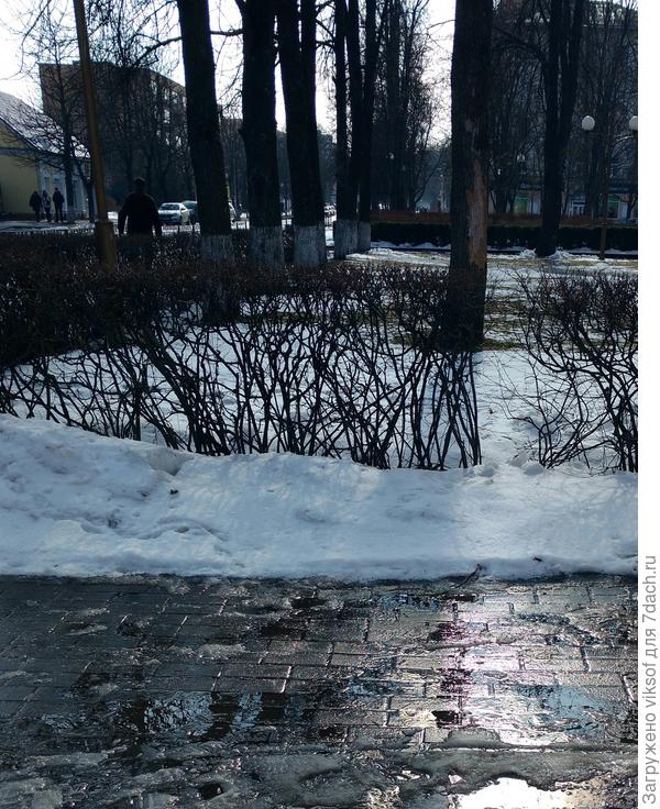 который раз уж так снег, Весна приближается!