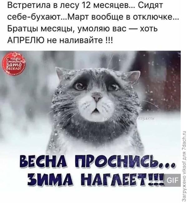 С утра шёл снег.