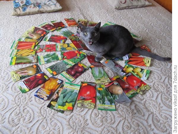 Максим! А ты ФСЁ посадил, ничего не забыл!?