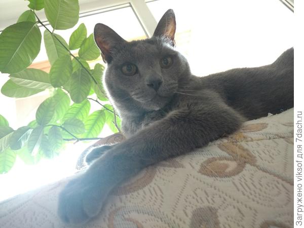 Пёселю от Витаса большой привет!