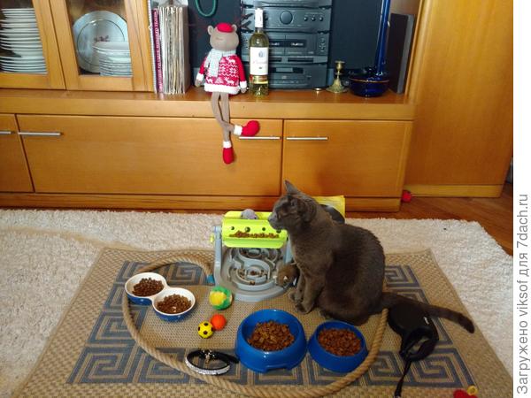 заходи, угощайся!