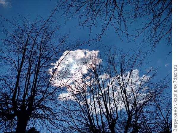 Всем нам мирного неба и крепкого здоровья!