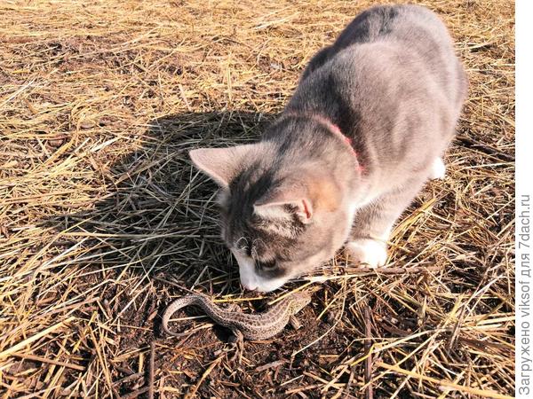 Что холодно? А я говорил - не вылезай,