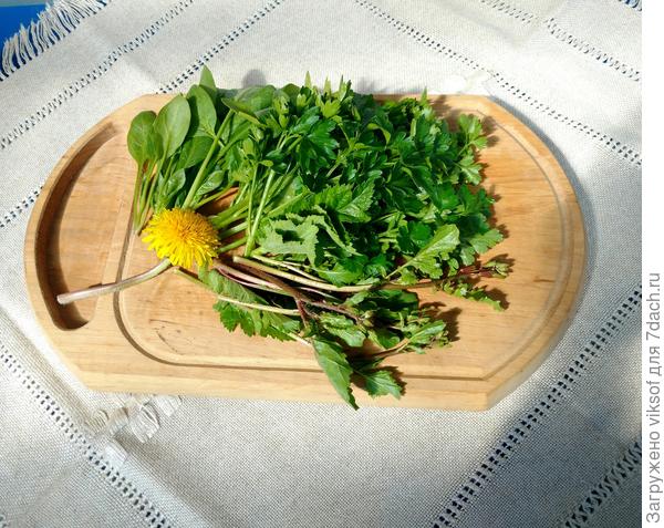 Мои заготовки, всё, что растёт в шаговой доступности))