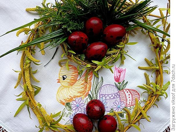 а перепелиные особенно хороши и когда я возвращаюсь из церкви, малыши с нашего подь ъ