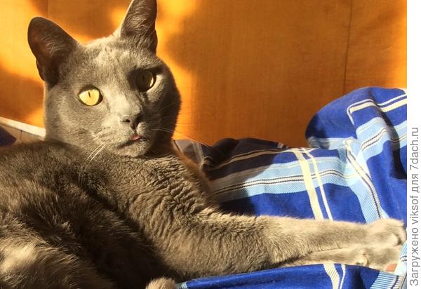 Витас устал ждать, так хочет на дачу, а там ещё очень холодно, но скоро уже!