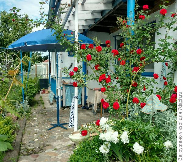 Чем я её заменю, пока не обрезала, но.