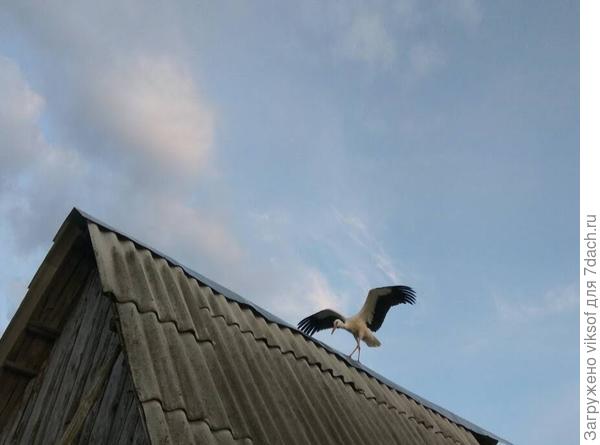 А Весна пришла! Просто она такая непохожая на саму себя!