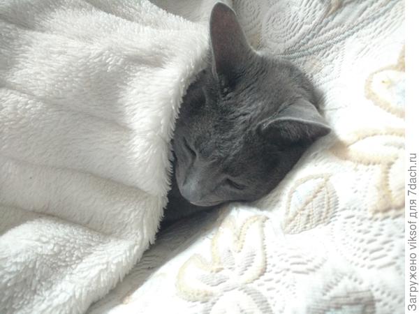 а с другой стороны я с телефоном...