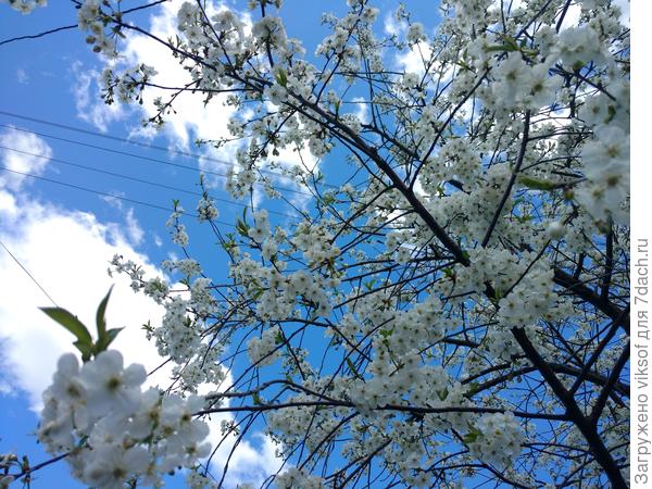 Мирного неба и всего самого доброго!