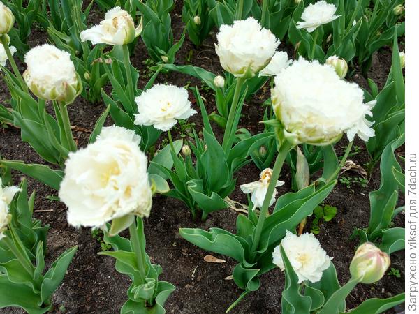 Будь счастлива!