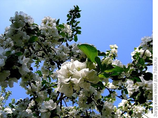 А Весна то пришла!