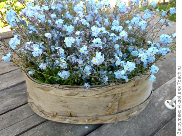 Не хлебом единым...