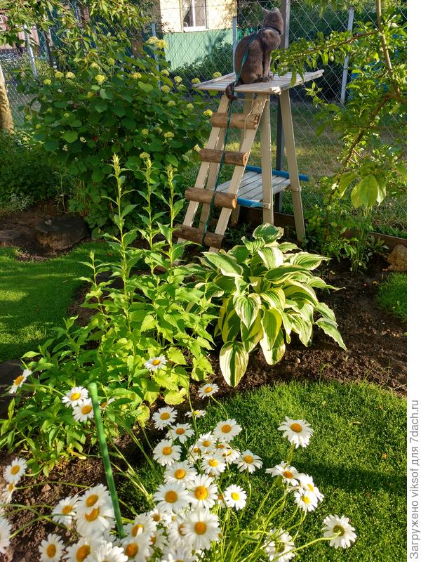 НалА встретить и проводить соседей - ФСЕ под контролем!