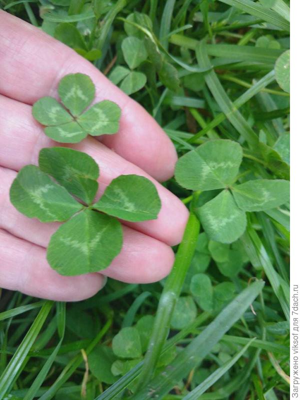 Всем нам на удачу!