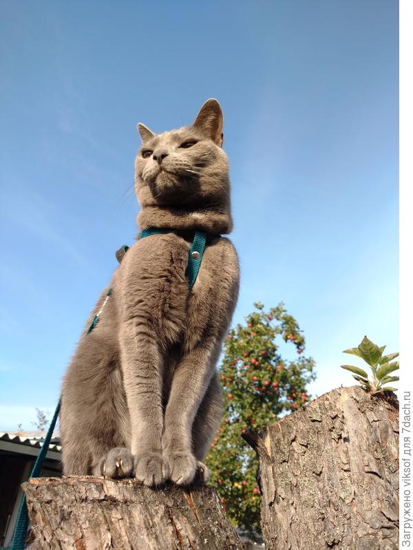 И Витас всех поздравляет!