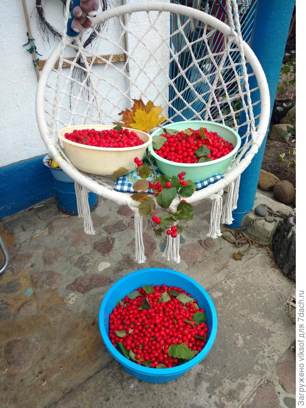 Вот, за один день сколько набрали!