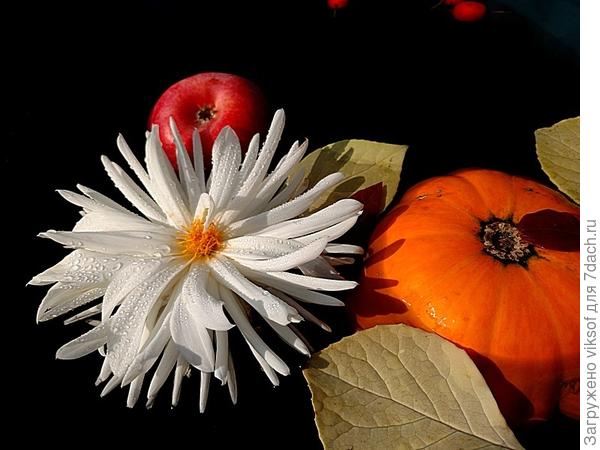 и это возможно осенью!