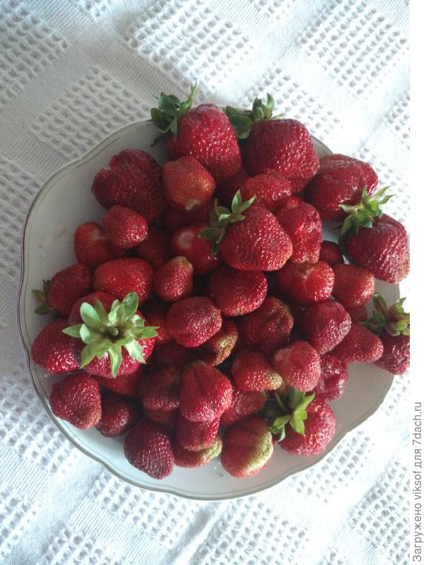 На рынке можно увидеть и покрасивее клубнику, но эта то своя!