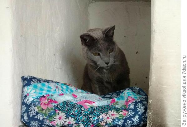 Осень настала, холодно стало, Витас на печке греет бока ...