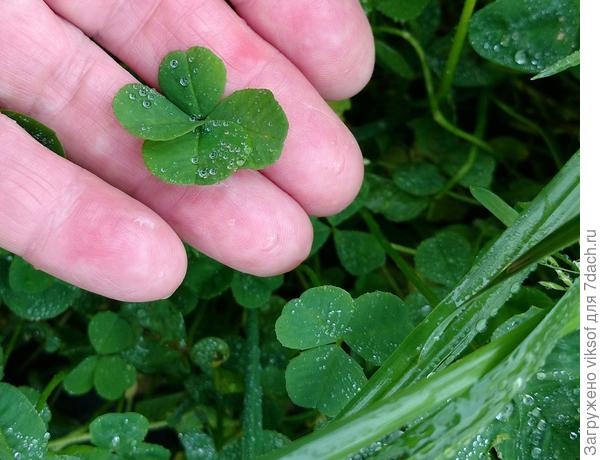 Всем удачи и не только на даче! А беречь себя надА, тогда и жаловаться не придётся!