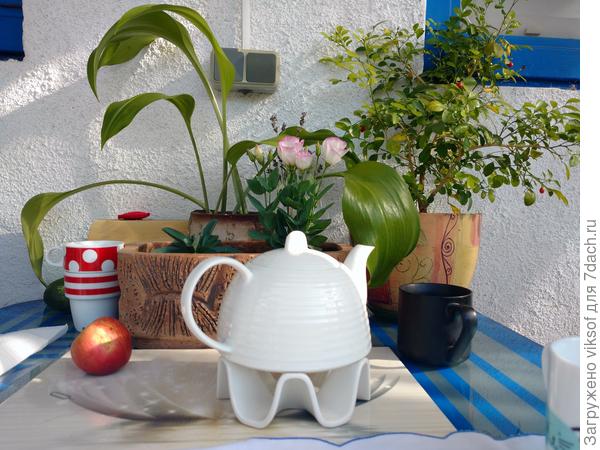 На даче надА побольше отдыхать - это вам говорит БаУшка София!